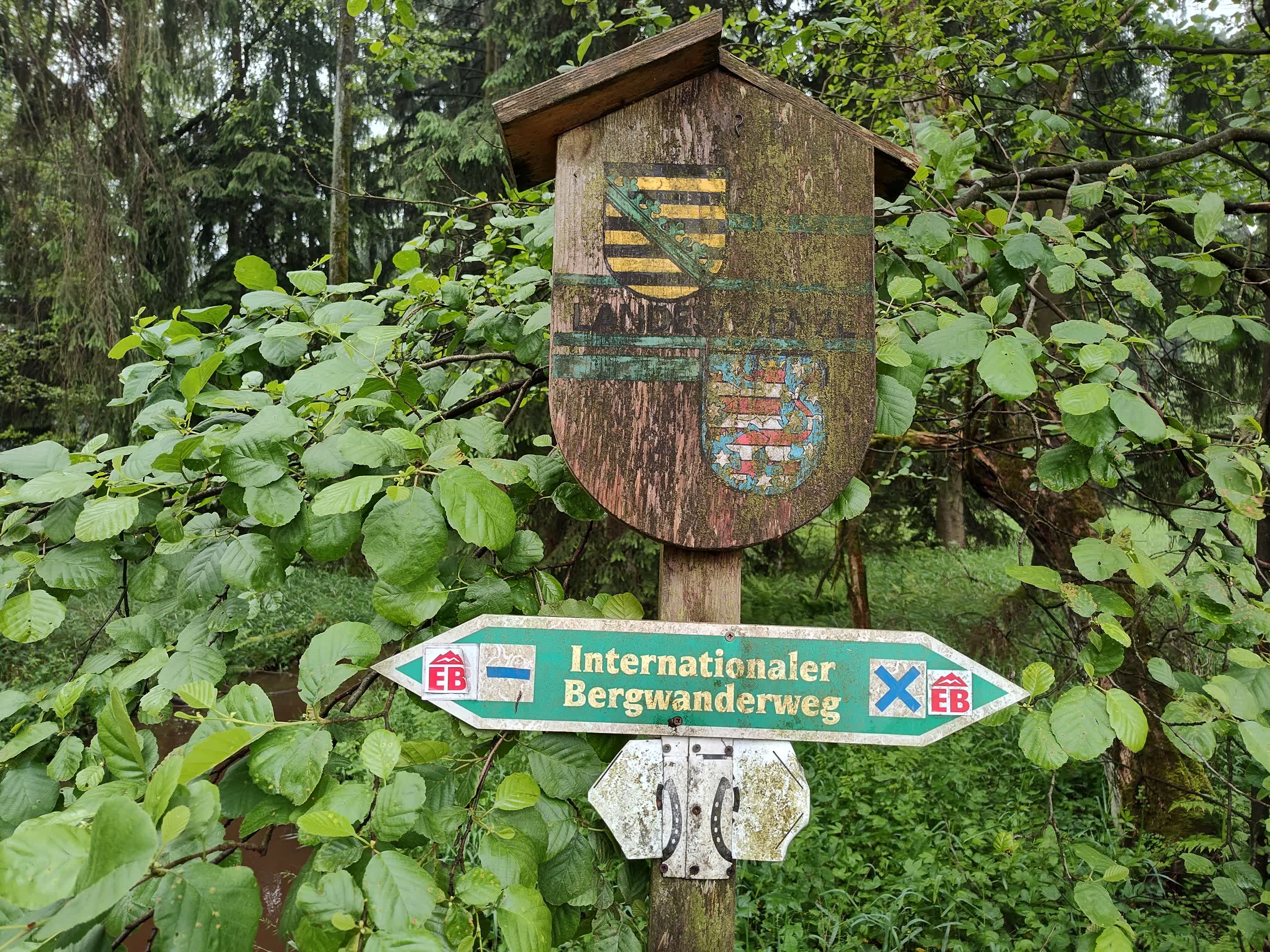 Tag 12: Saalburg - Mühltroff