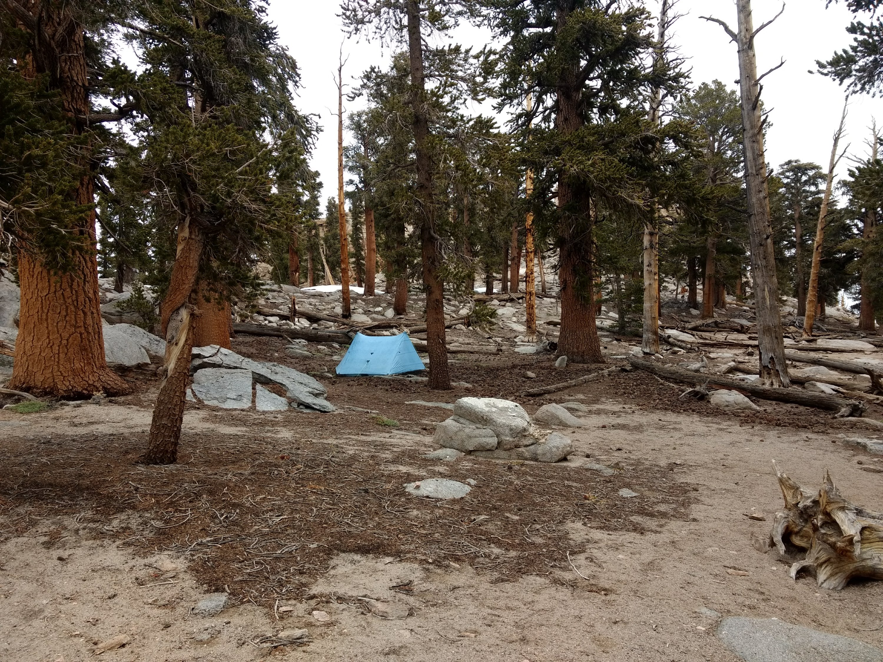 Tag 39: Tentsite beim Cow Creek - Tentsite bei Meile 734