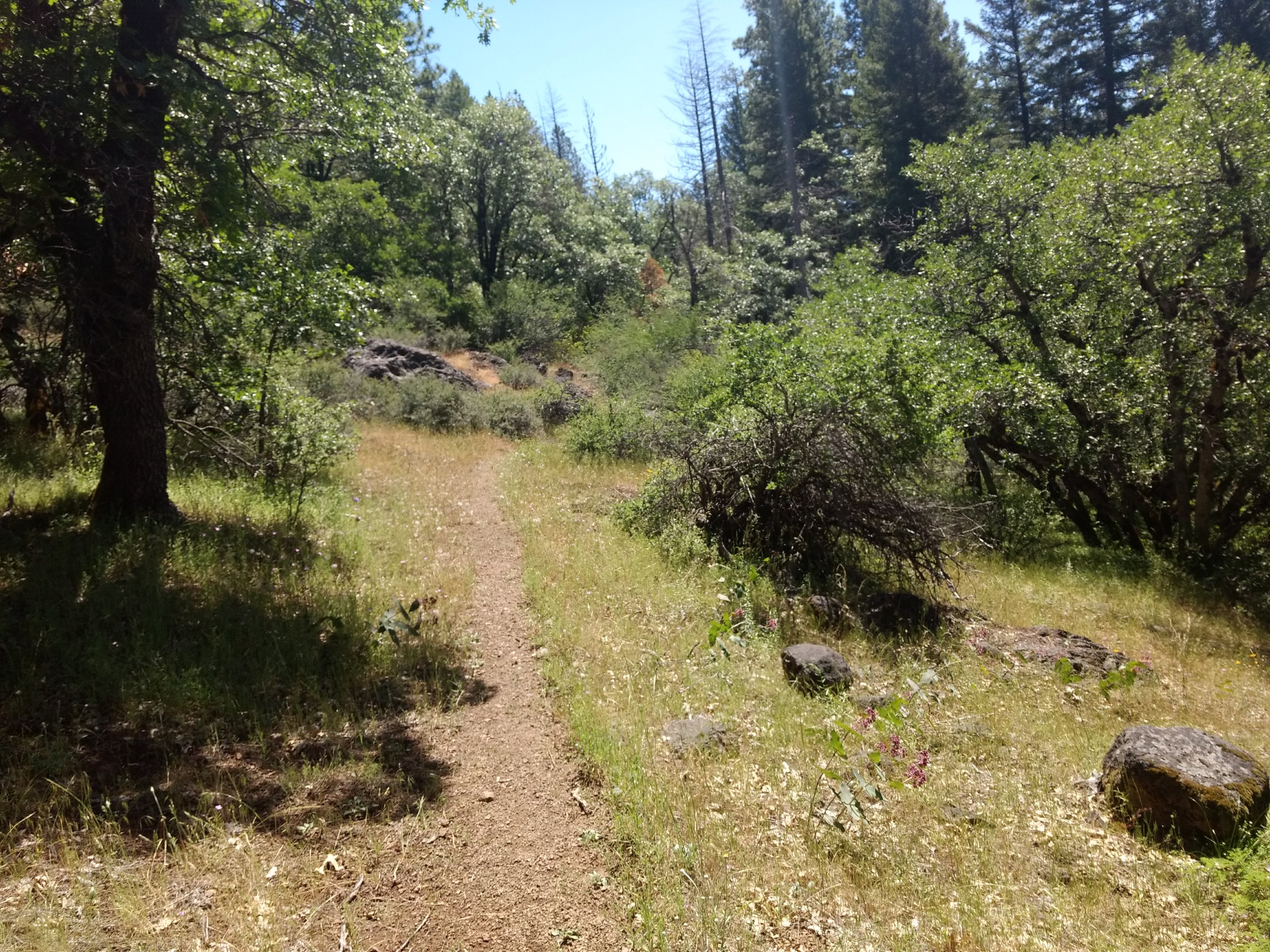 Tag 53: Tentsite bei Meile 1.443 - Burney Falls State Park