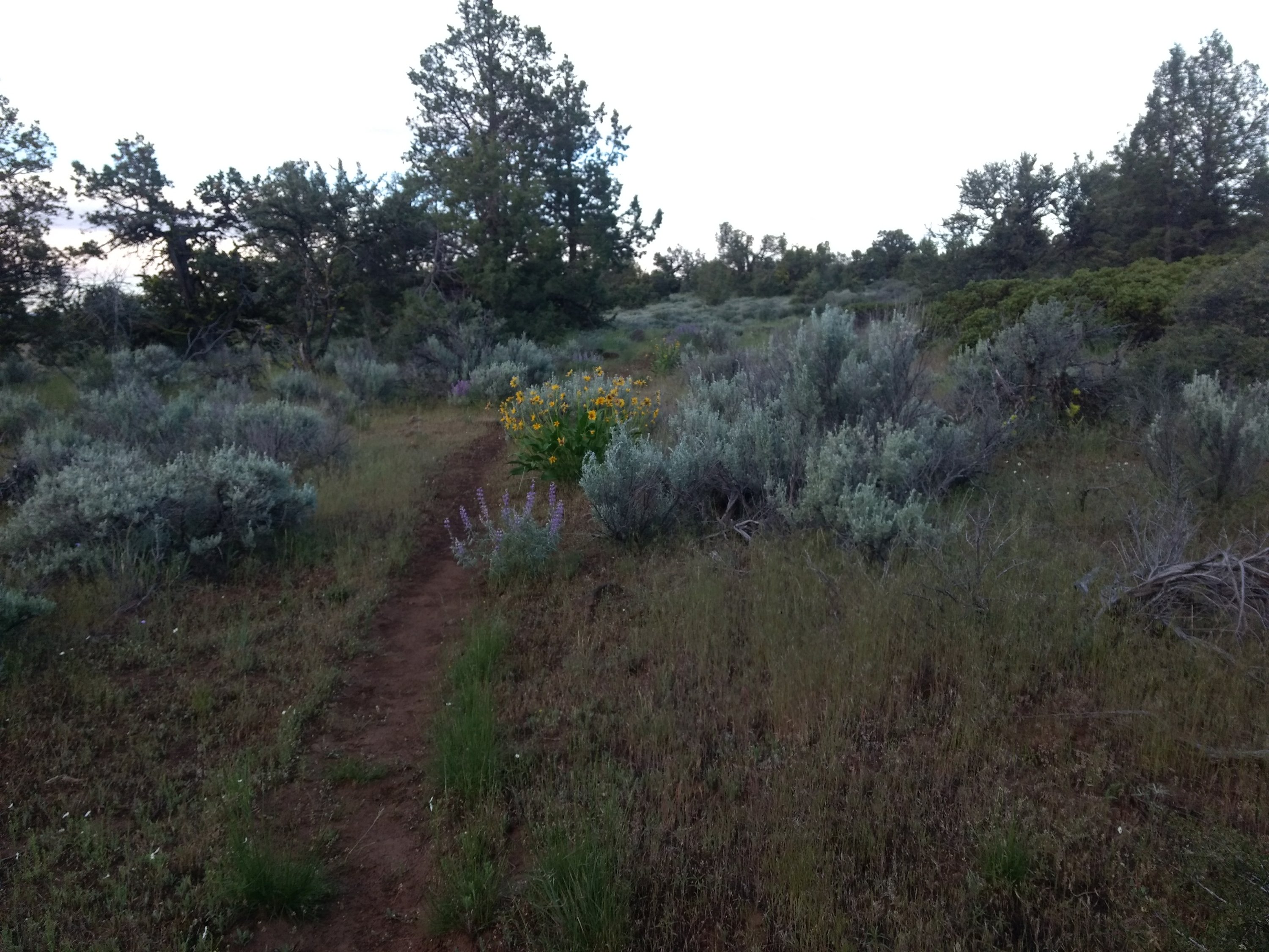 Tag 55: Water Cache 22 - Old Station
