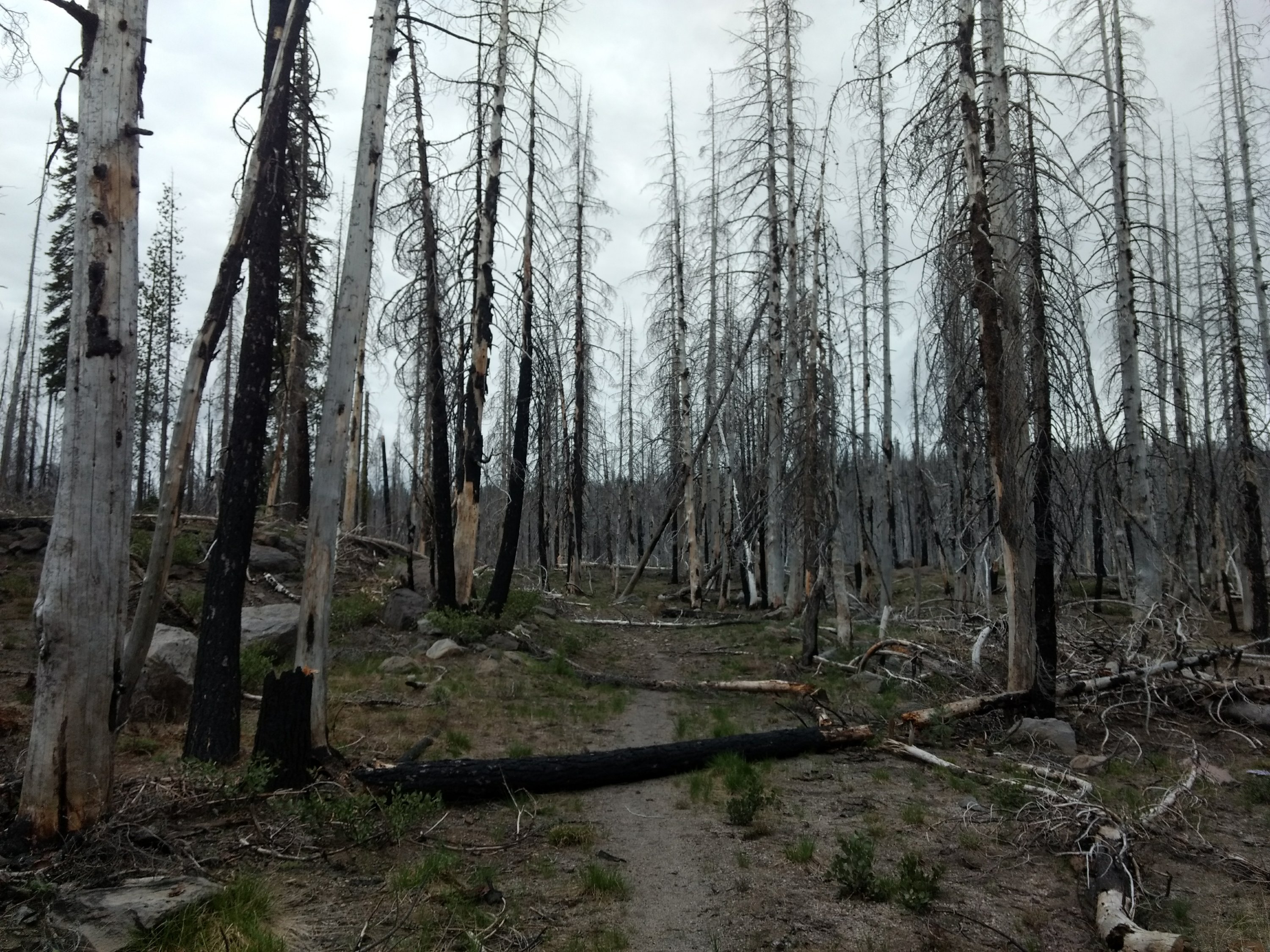 Tag 56: Old Station - Warner Valley Camp