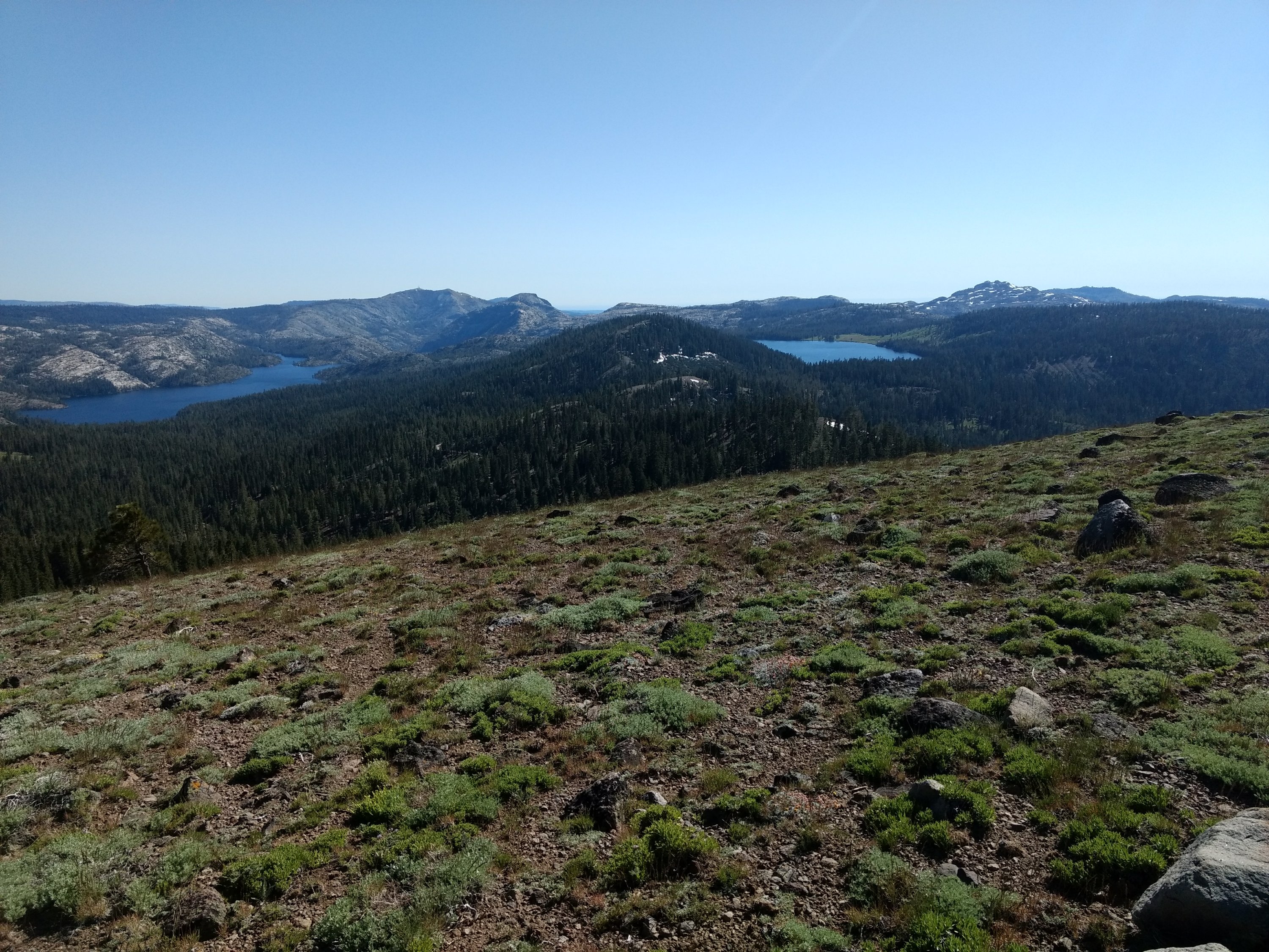 Tag 66: Sierra City - Meadow Lake Road