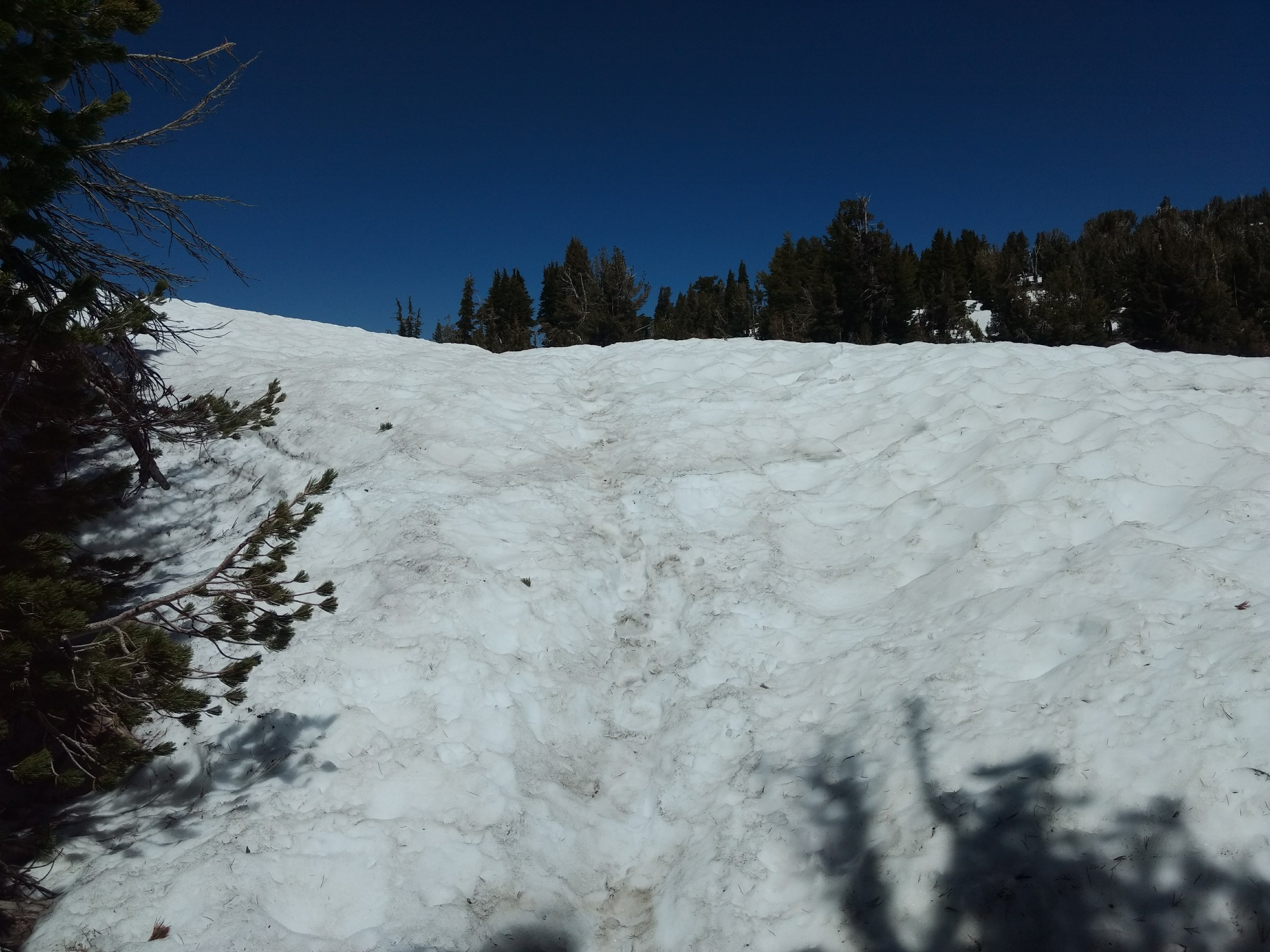 Tag 70: Richardson Lake - Echo Lake Parking - South Lake Tahoe