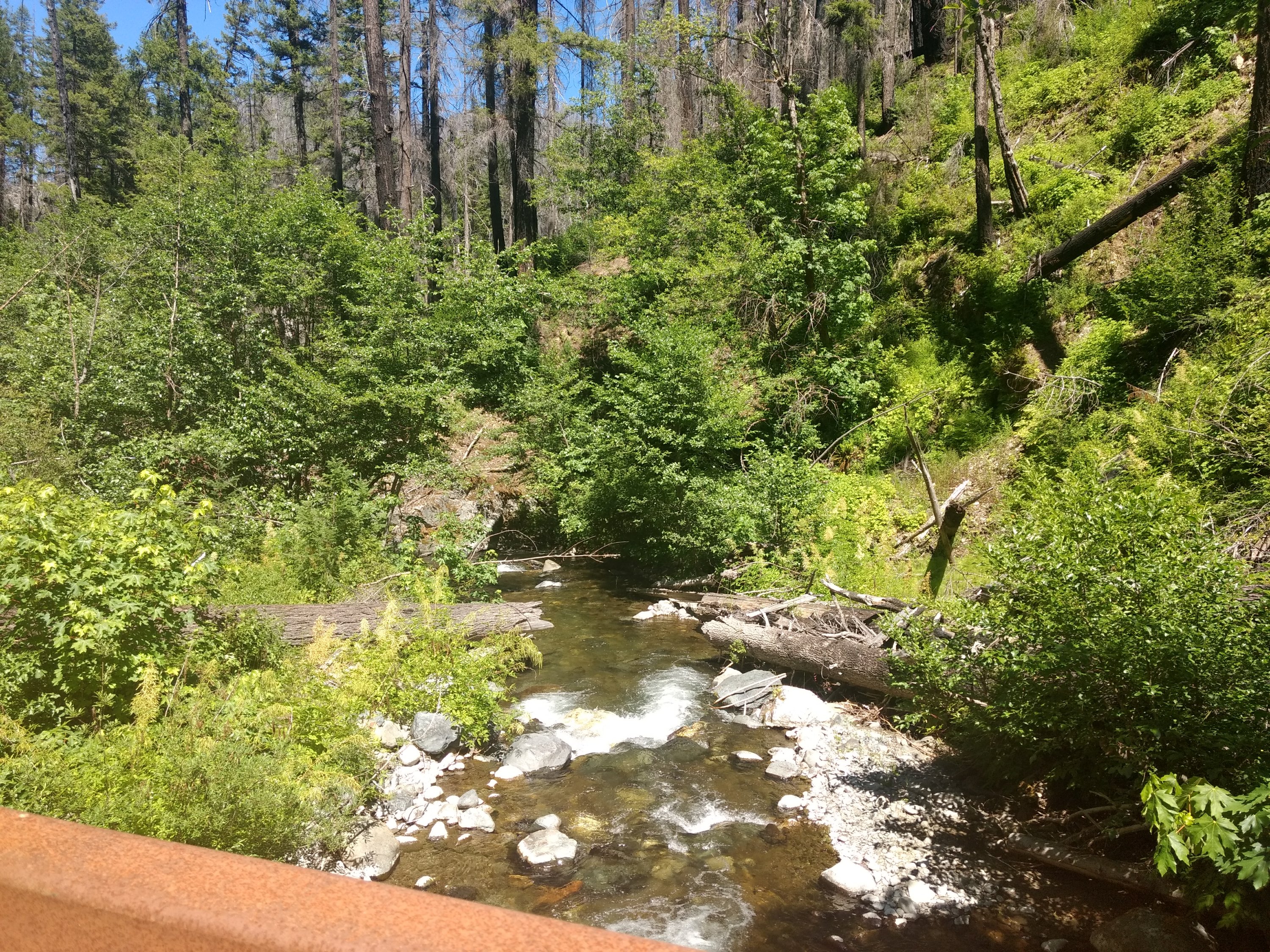 Tag 80: Marble Valley Tentsite - Grider Creek Campground