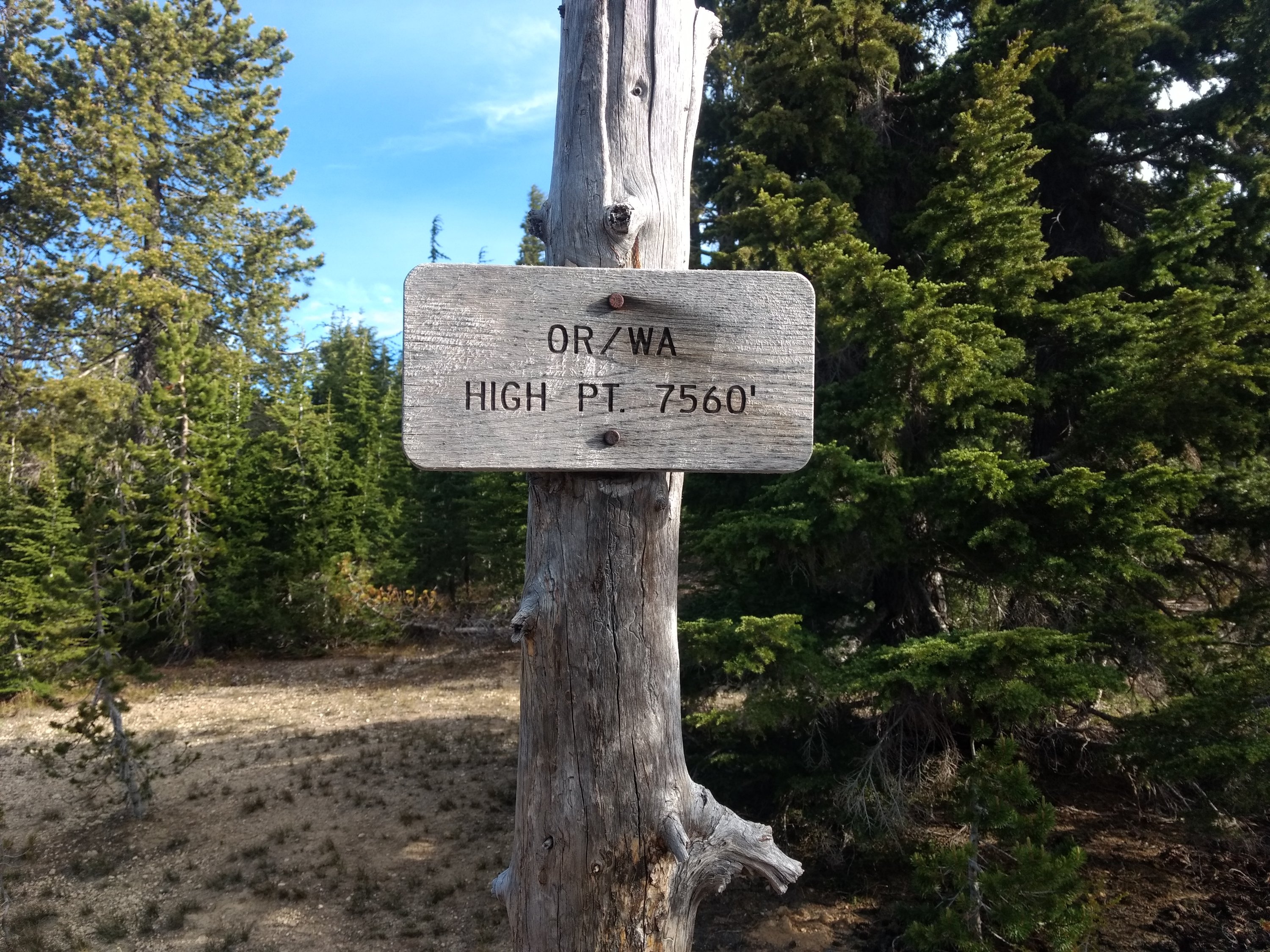 Tag 92: Tentsite am Thielsen Creek bei Meile 1.856 - Windigo Pass