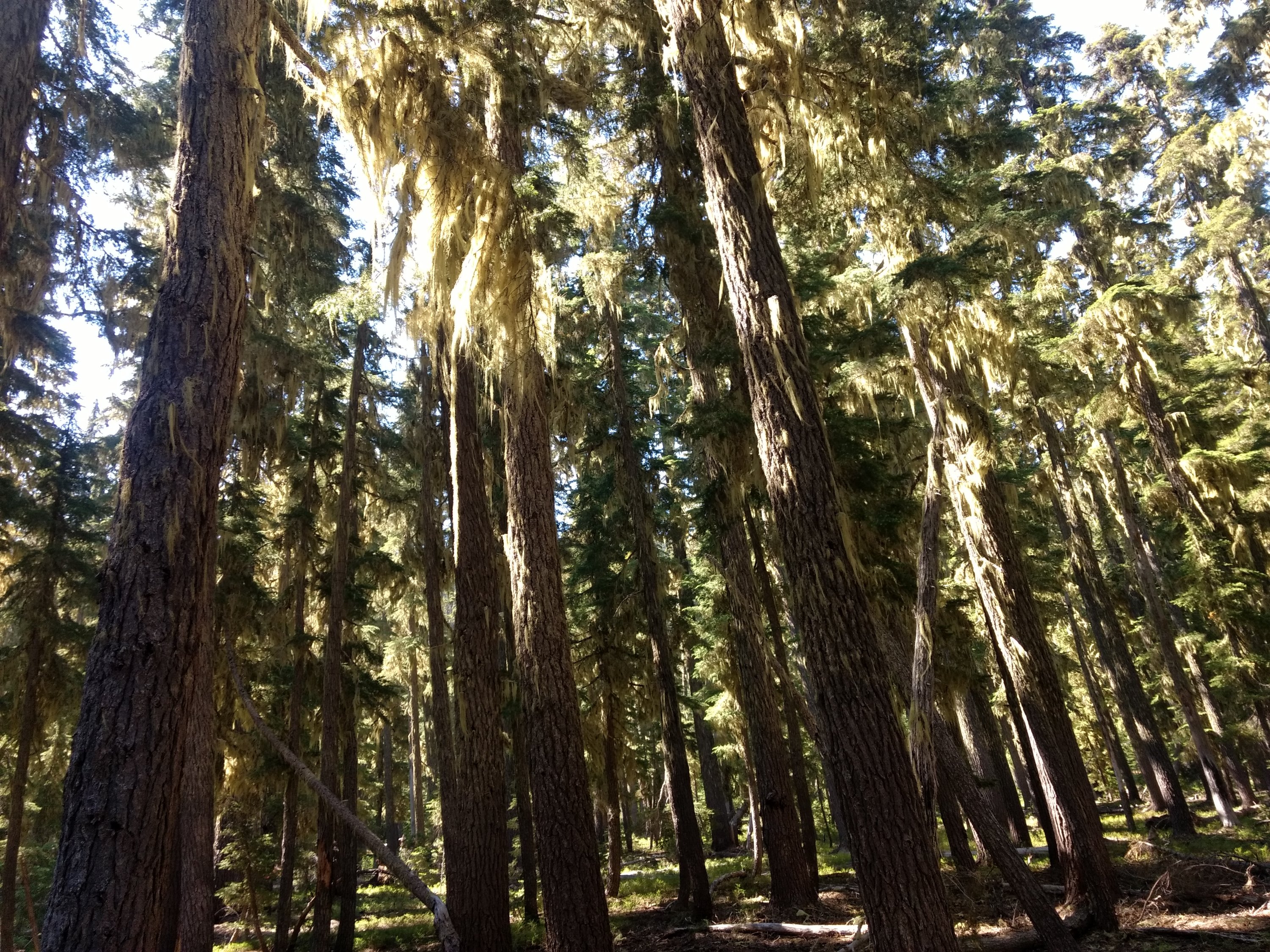 Tag 94: Shelter Cove Resort - Tentsite am Jezebel Lake