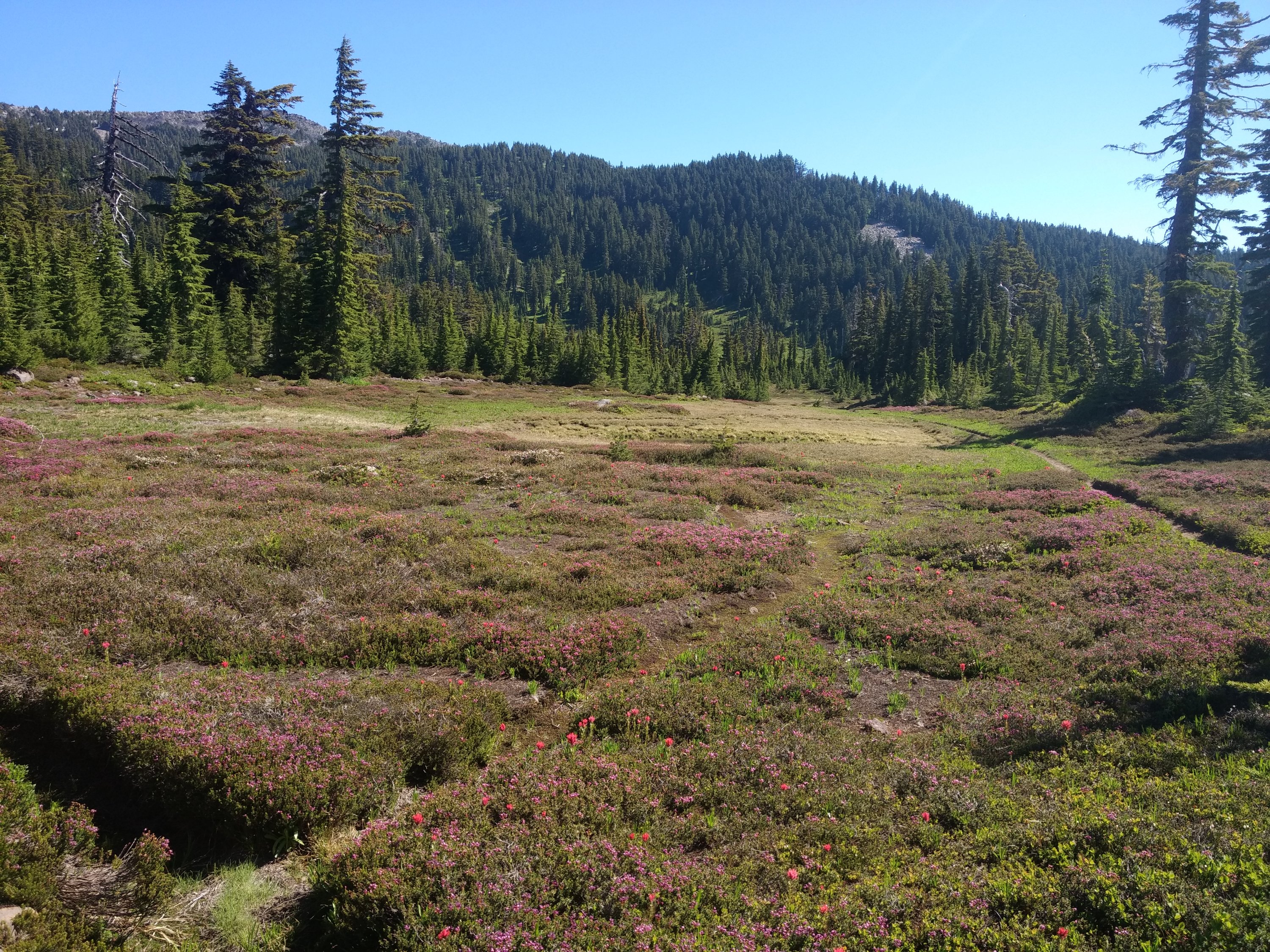 Tag 100: Tentsite bei Meile 2.023 - Jude Lake (Meile 2.049)