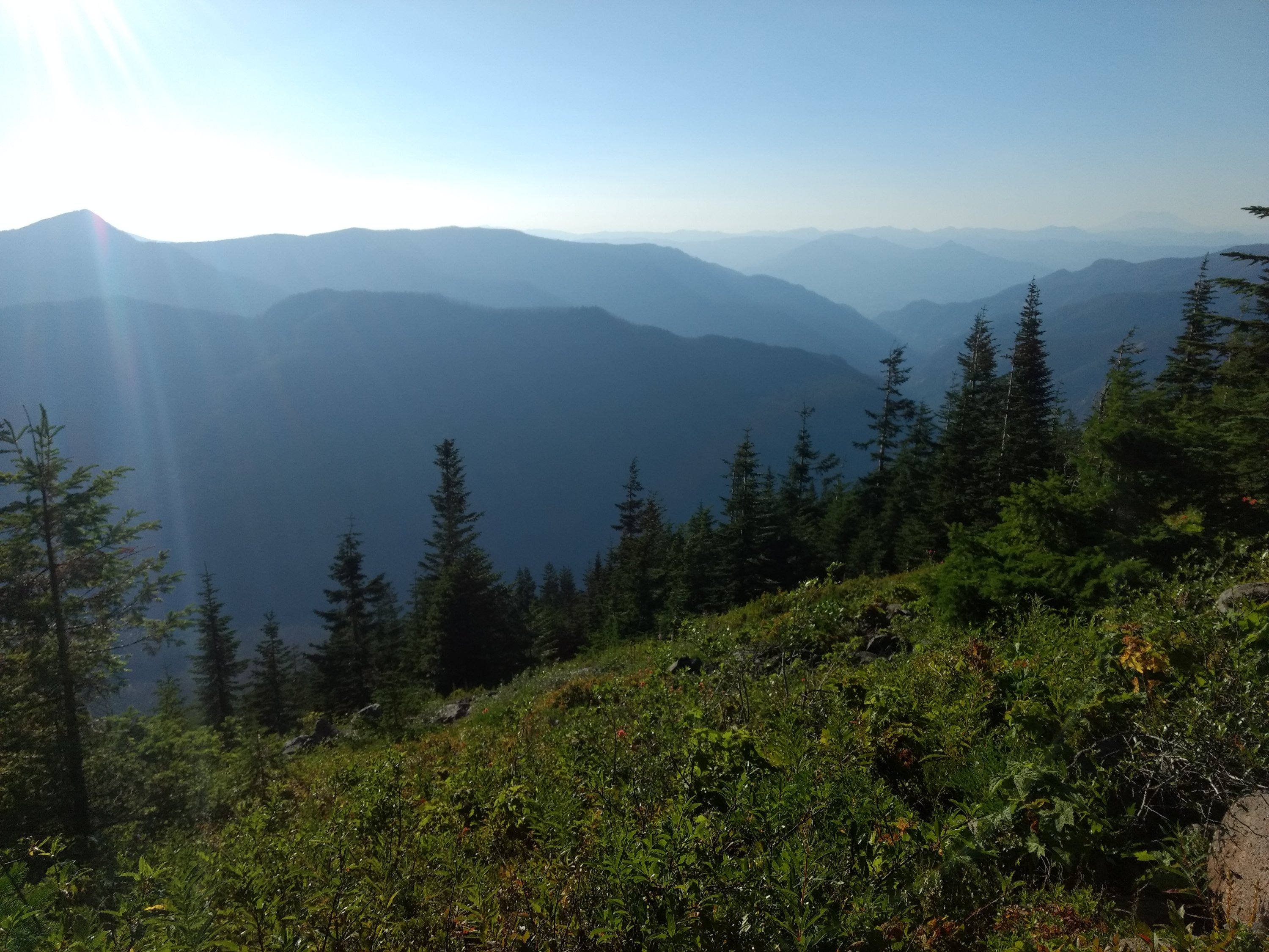 Tag 103: Timberline Lodge - Eagle Creek Trail Junction