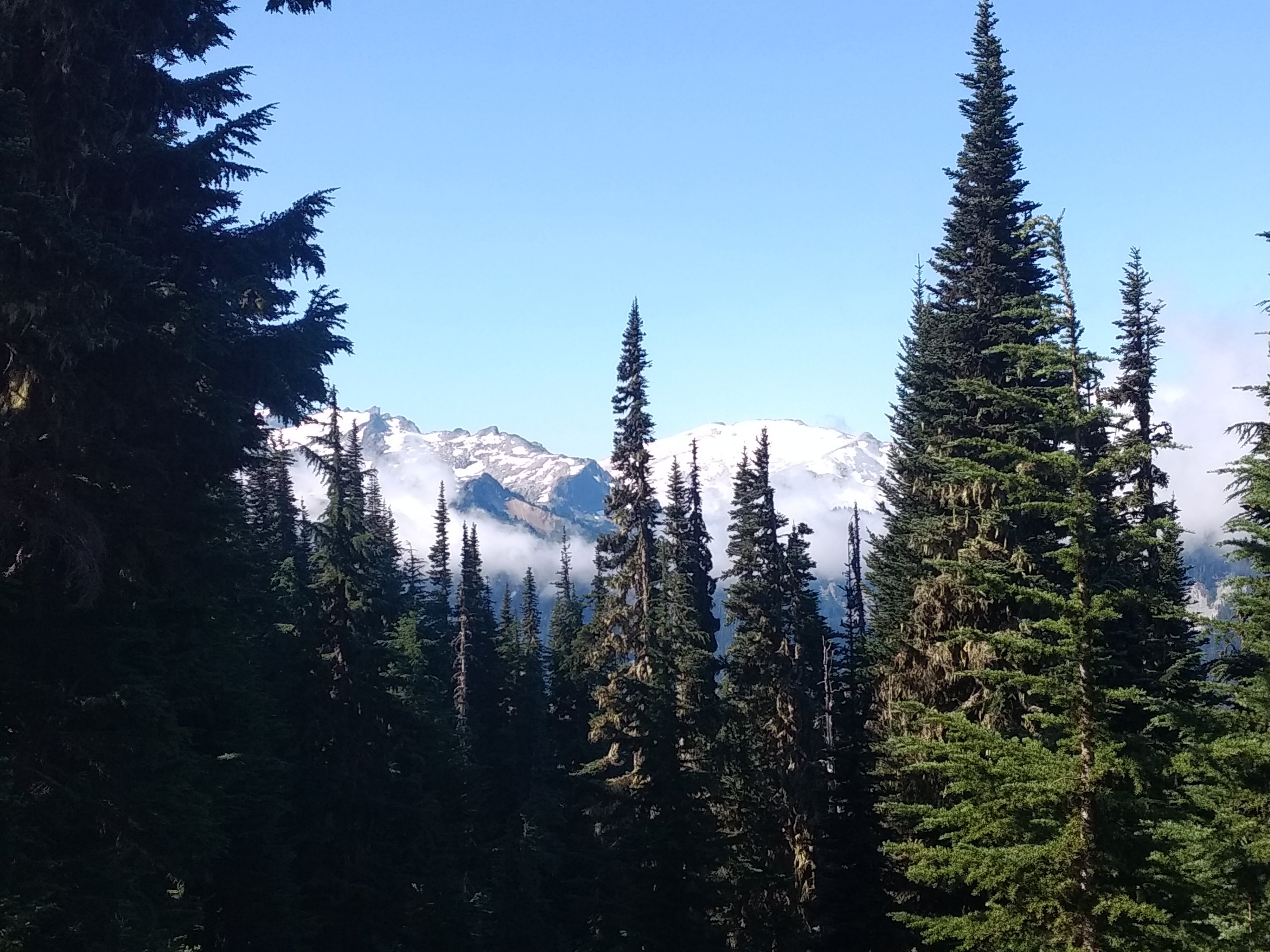 Tag 119: Tentsite bei Meile 2439 - Lake Susan Jane