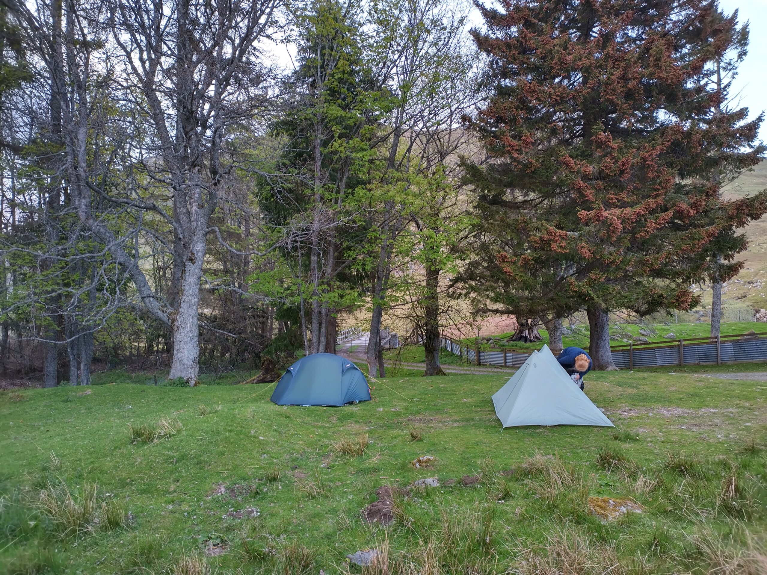 Tag 7: Fort Augustus - Stronelairg Lodge